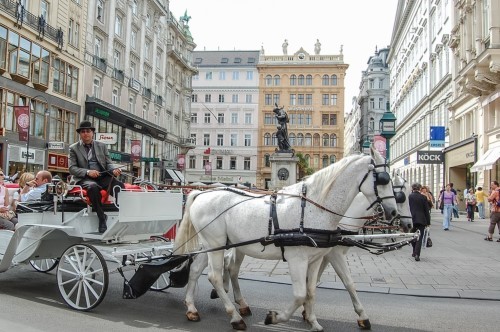 austria-visa-traveler-cart-ride